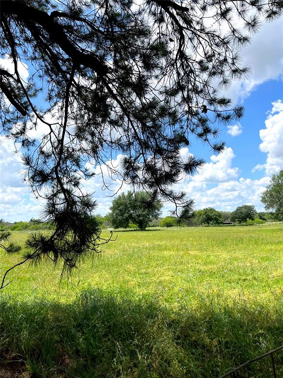 Clipson Road Road, Eagle Lake, Texas image 3