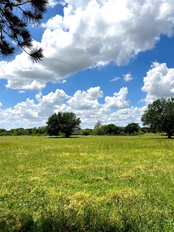 Clipson Road Road, Eagle Lake, Texas image 6