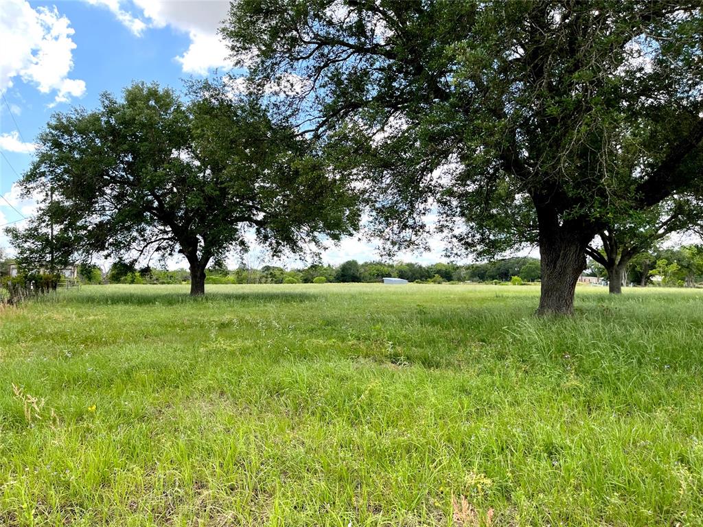 Clipson Road Road, Eagle Lake, Texas image 8