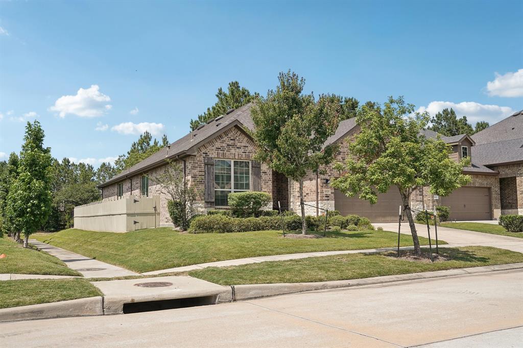 10029 Red Beadtree Place, Conroe, Texas image 34