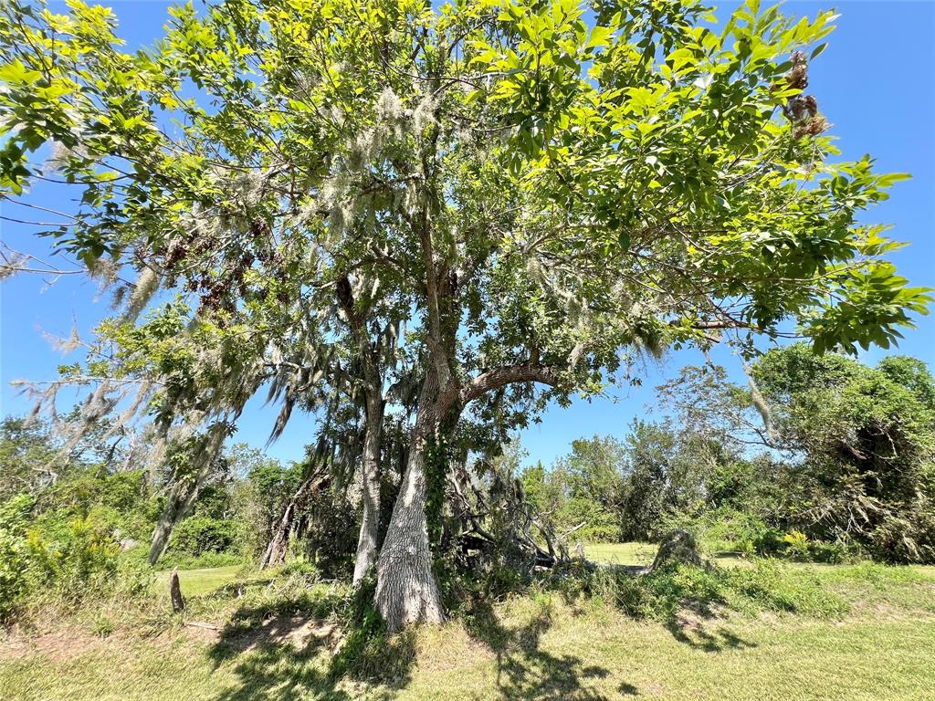 19480 County Road 319, Brazoria, Texas image 33