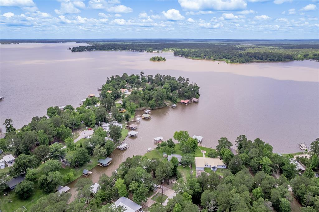 460 Ridge Trail, Trinity, Texas image 3