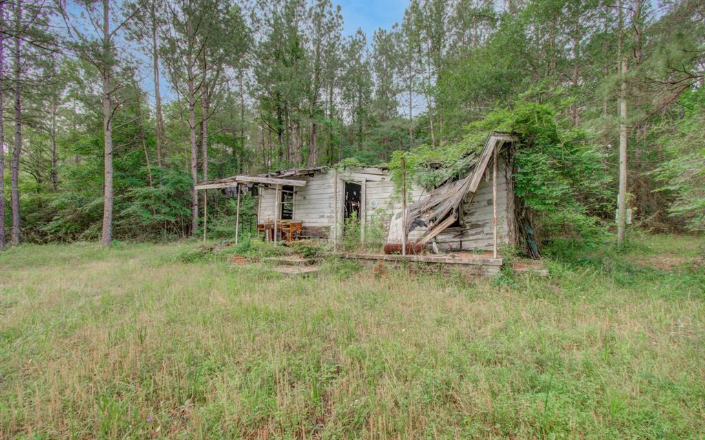 Winters Ranch Road, New Waverly, Texas image 7