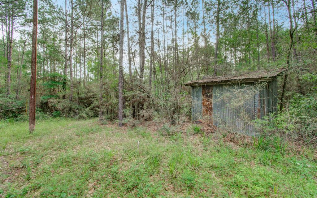 Winters Ranch Road, New Waverly, Texas image 9