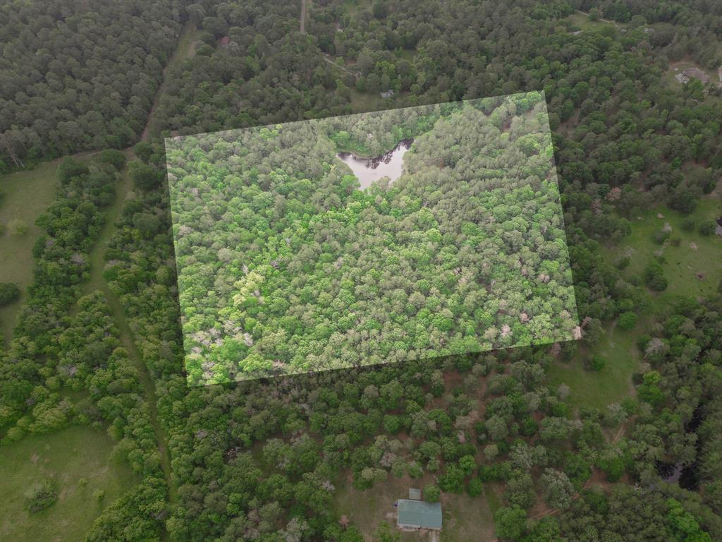 Winters Ranch Road, New Waverly, Texas image 18