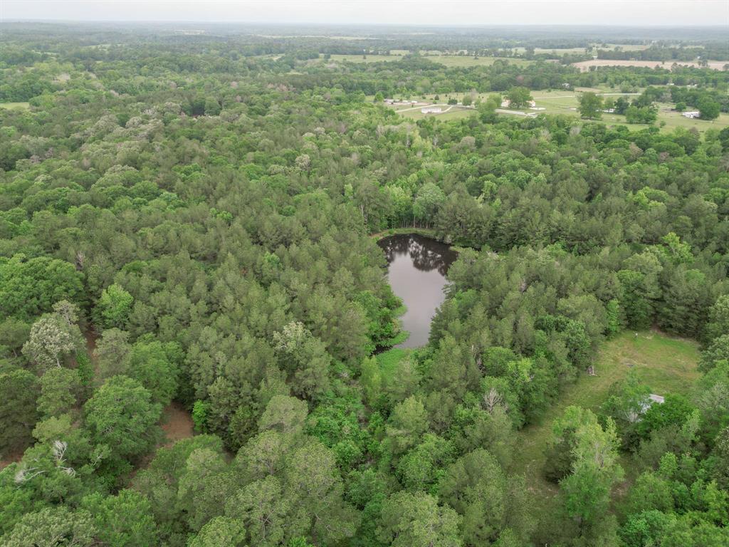 Winters Ranch Road, New Waverly, Texas image 22