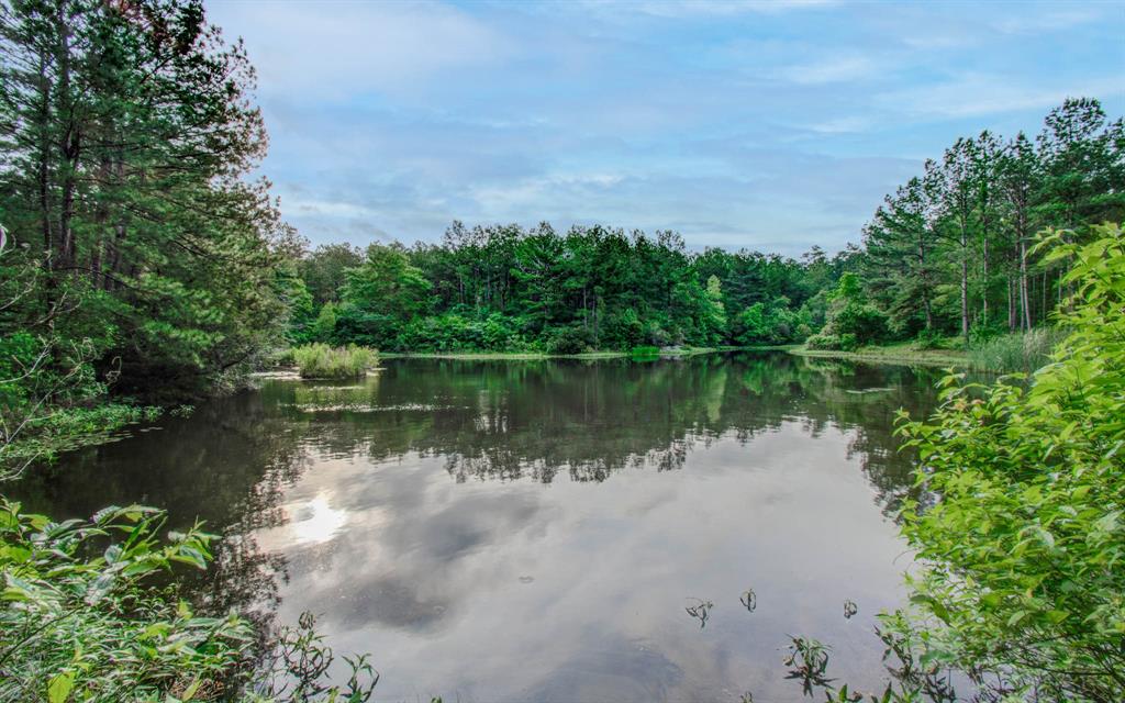 Winters Ranch Road, New Waverly, Texas image 3