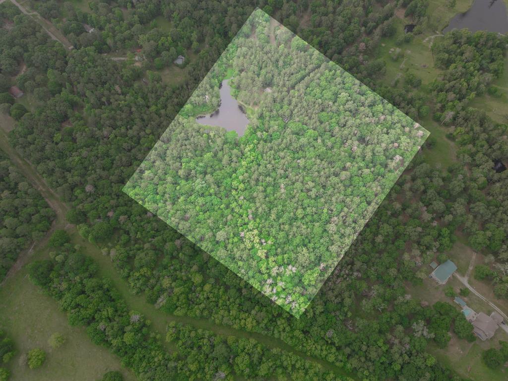 Winters Ranch Road, New Waverly, Texas image 17