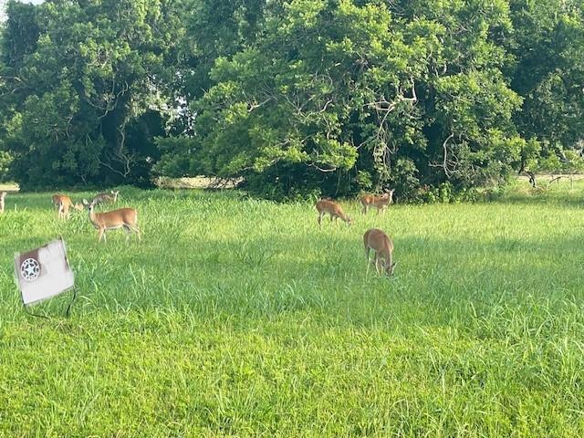 178 Horse Shoe Trail Trl, Angleton, Texas image 6