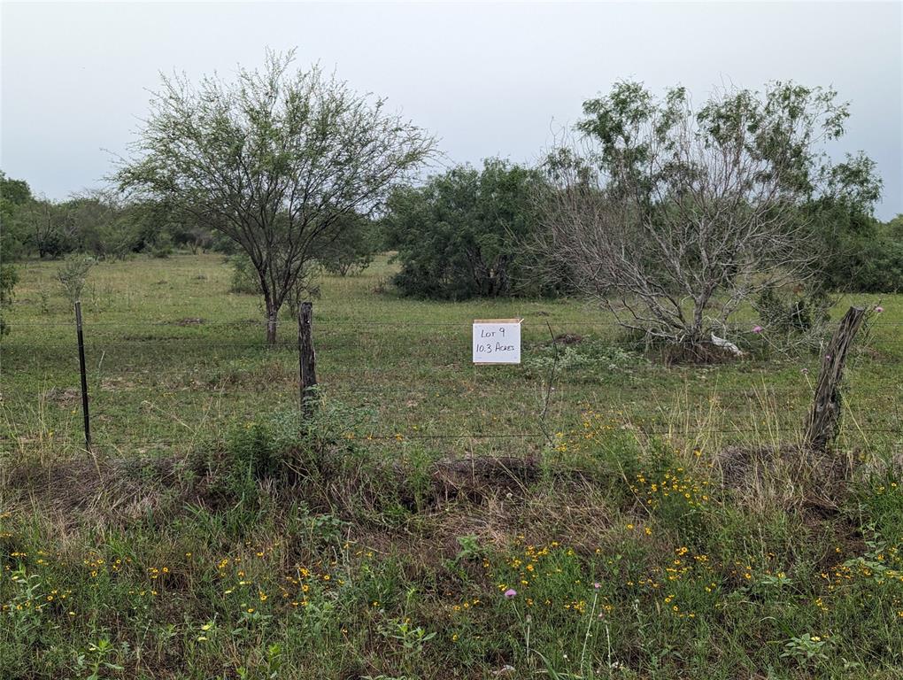 Lot 9 Cr 430, Premont, Texas image 8