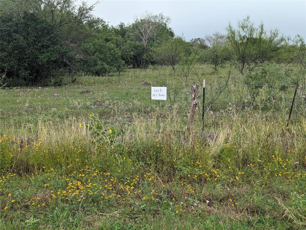 Lot 9 Cr 430, Premont, Texas image 6