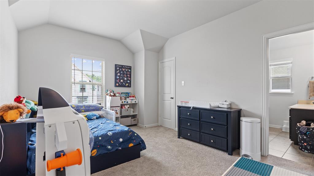 222 Butterfly Orchid Court Ct, Willis, Texas image 20