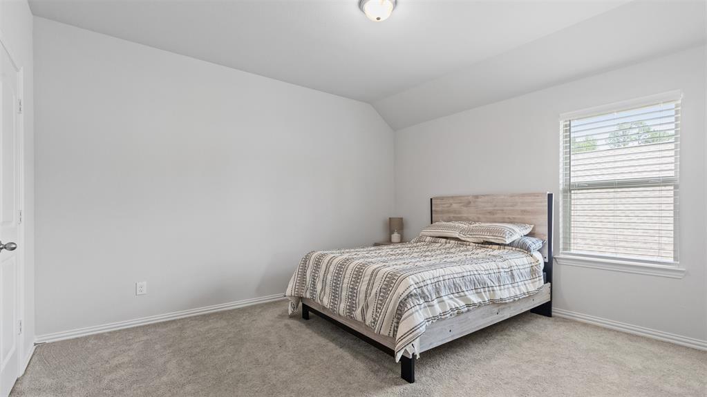 222 Butterfly Orchid Court Ct, Willis, Texas image 19