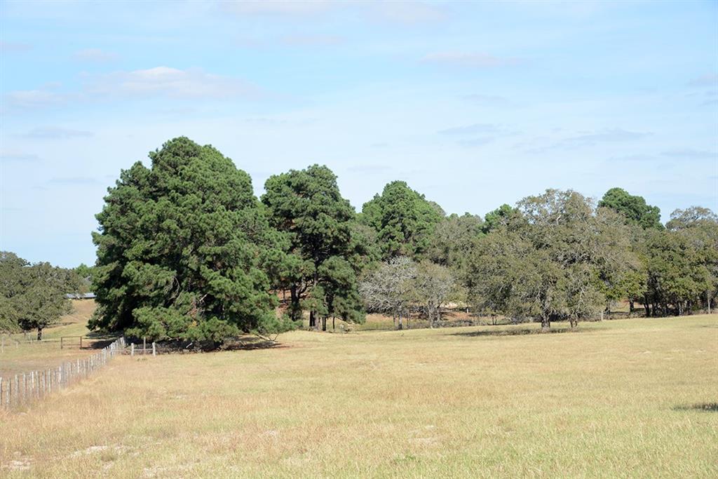 FM466 Pine Ranch Road, Seguin, Texas image 17