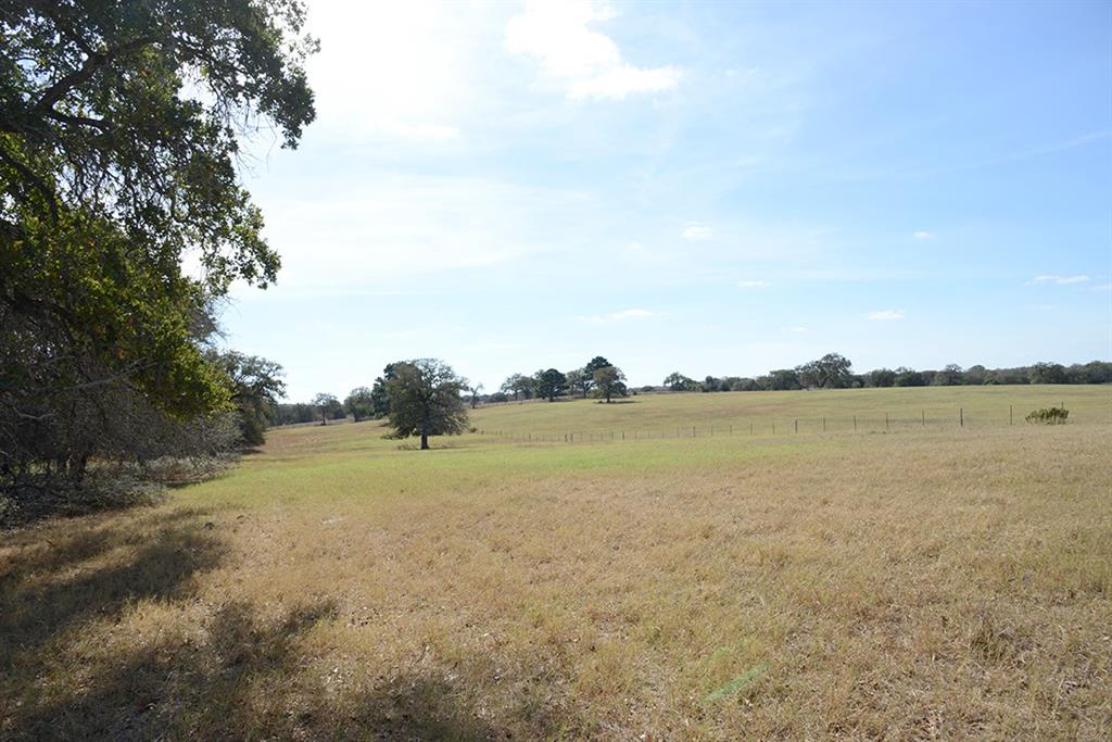 FM466 Pine Ranch Road, Seguin, Texas image 13