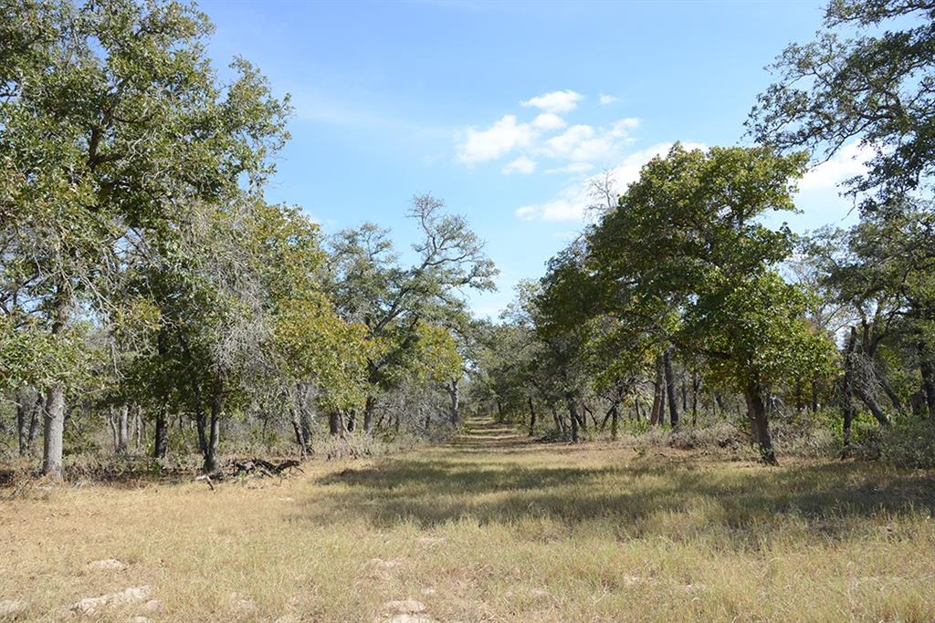 FM466 Pine Ranch Road, Seguin, Texas image 14