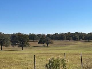 FM466 Pine Ranch Road, Seguin, Texas image 6