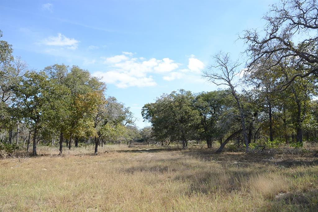 FM466 Pine Ranch Road, Seguin, Texas image 21