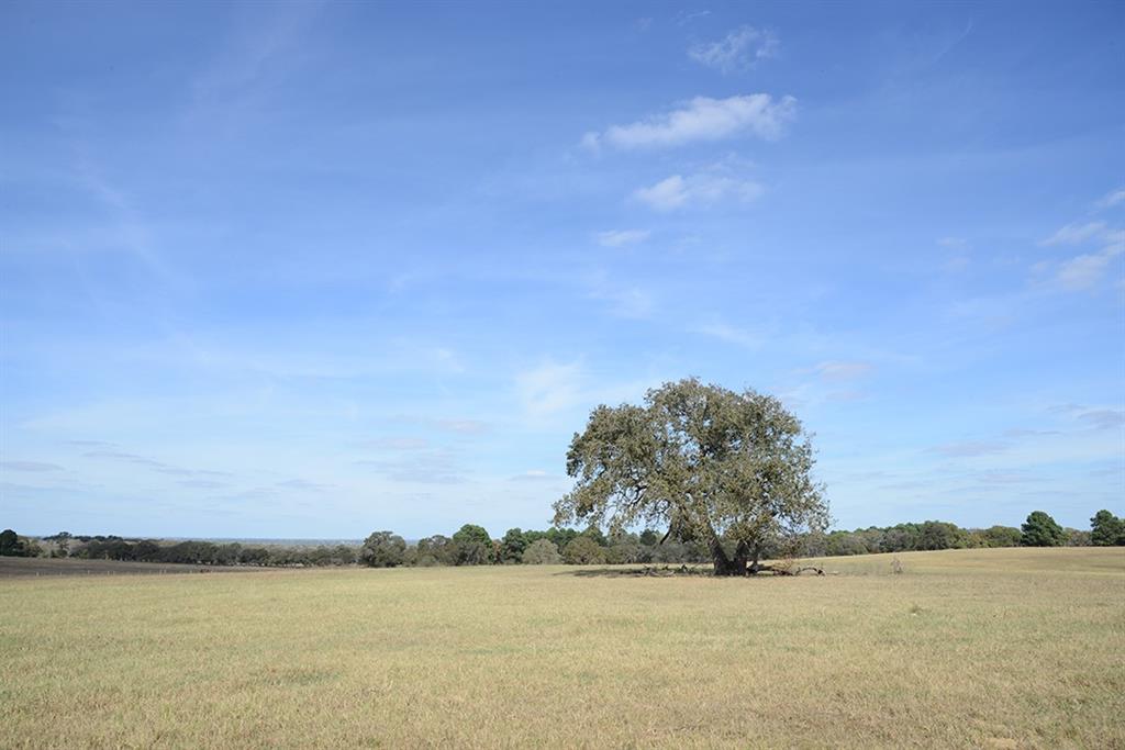 FM466 Pine Ranch Road, Seguin, Texas image 19