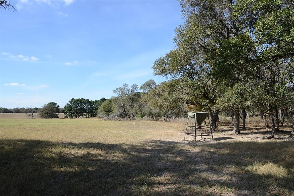 FM466 Pine Ranch Road, Seguin, Texas image 22