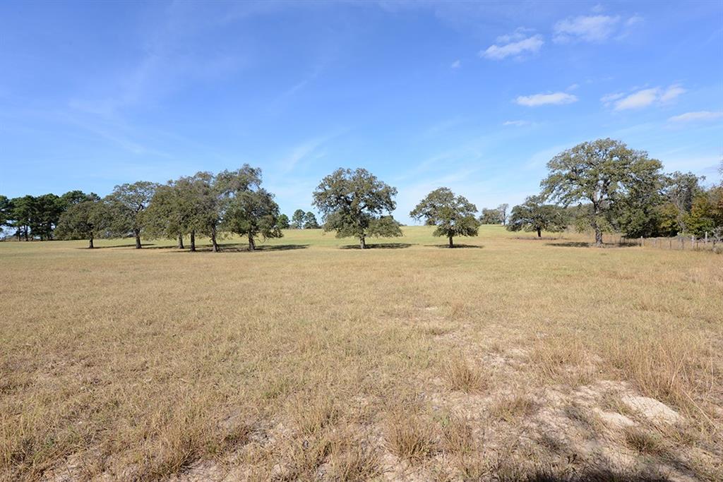 FM466 Pine Ranch Road, Seguin, Texas image 8