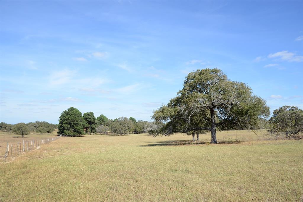 FM466 Pine Ranch Road, Seguin, Texas image 18