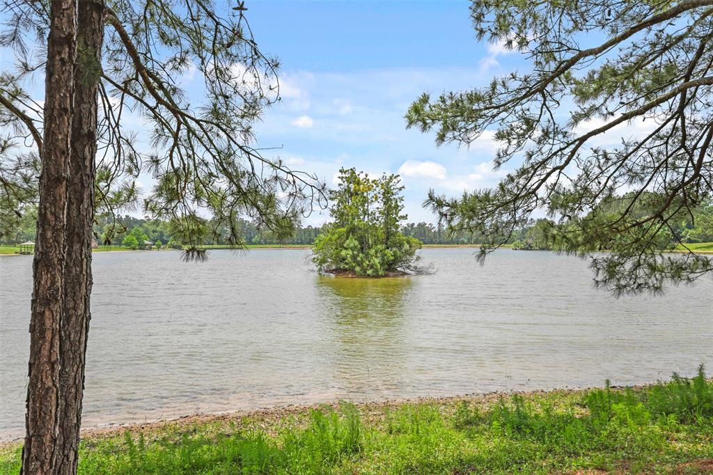 11376 Majestic Drive, Montgomery, Texas image 47