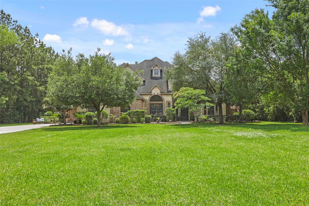 11376 Majestic Drive, Montgomery, Texas image 1