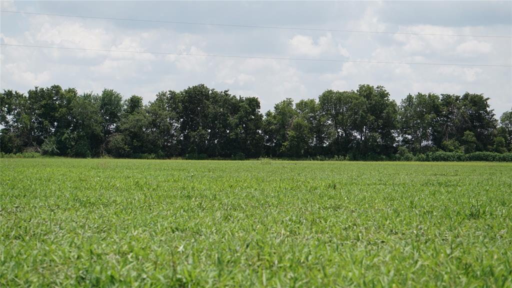 852 County Road 328, Caldwell, Texas image 1