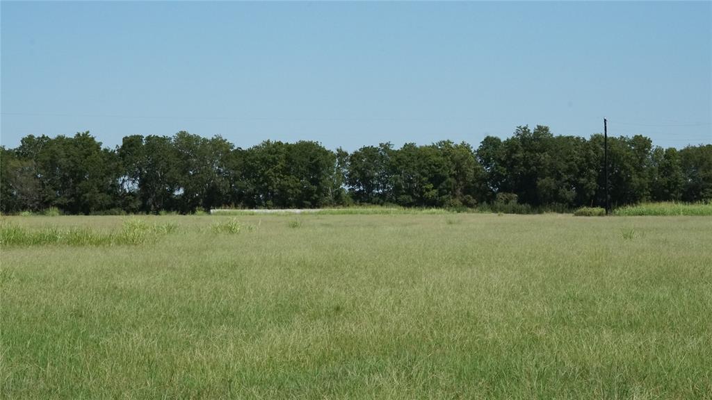 TBD (13.16 Acres) County Road 328, Caldwell, Texas image 5