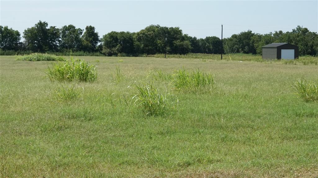 TBD (13.16 Acres) County Road 328, Caldwell, Texas image 6