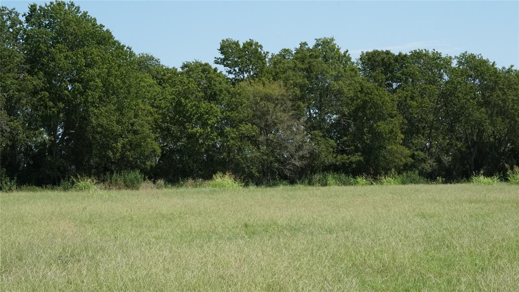 TBD (13.16 Acres) County Road 328, Caldwell, Texas image 1