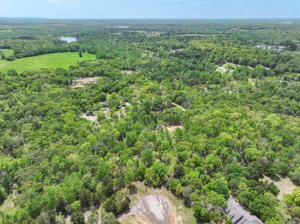 8950 Timber Ridge Lane, Larue, Texas image 10