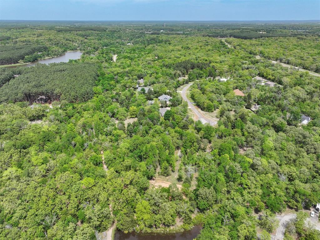 8950 Timber Ridge Lane, Larue, Texas image 4