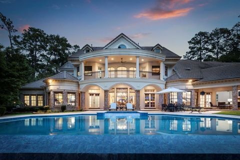 Single Family Residence in The Woodlands TX 22 Palmer Crest Crst 3.jpg