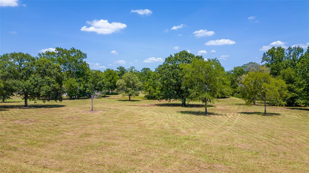 12591 St Louis Court, Willis, Texas image 23