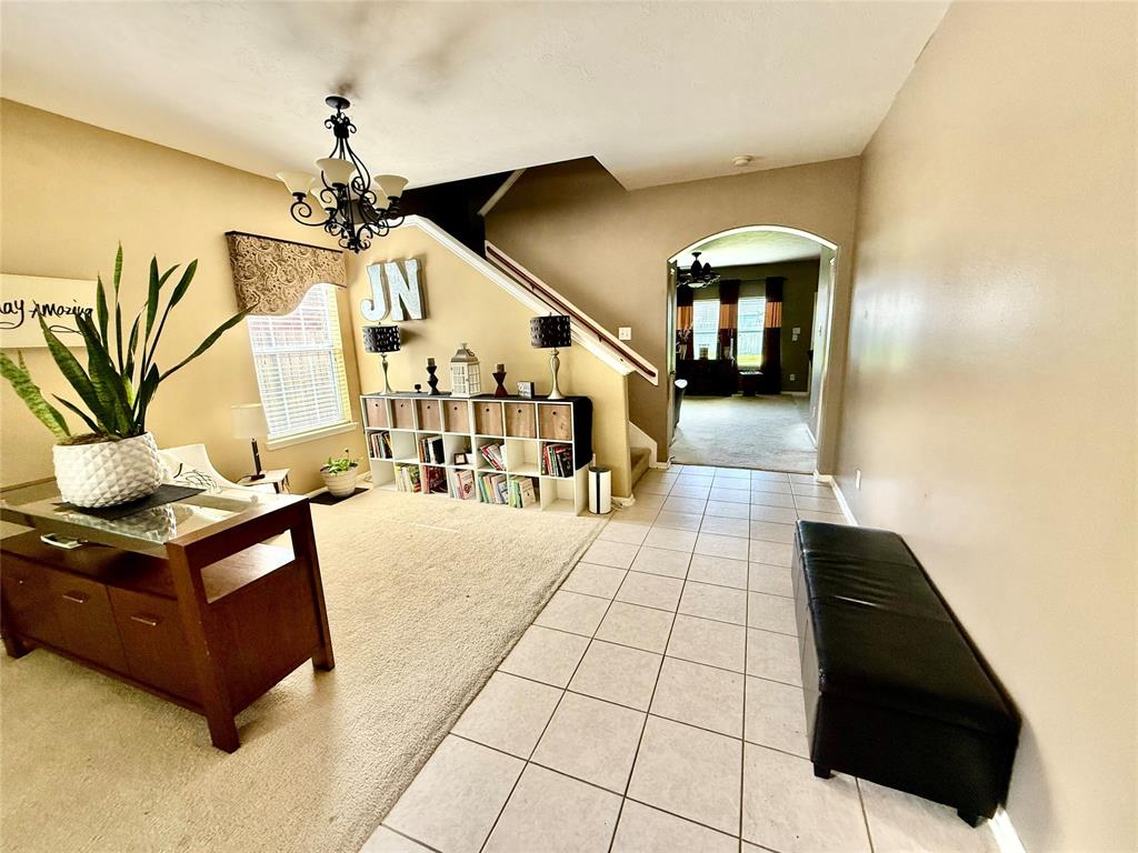 14 Palm Desert Drive, Manvel, Texas image 4