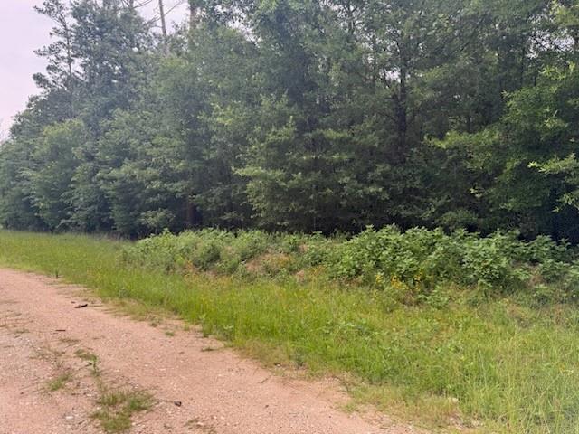 TBD Deer Trail, Livingston, Texas image 4