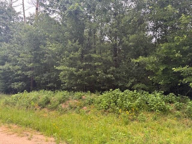 TBD Deer Trail, Livingston, Texas image 2