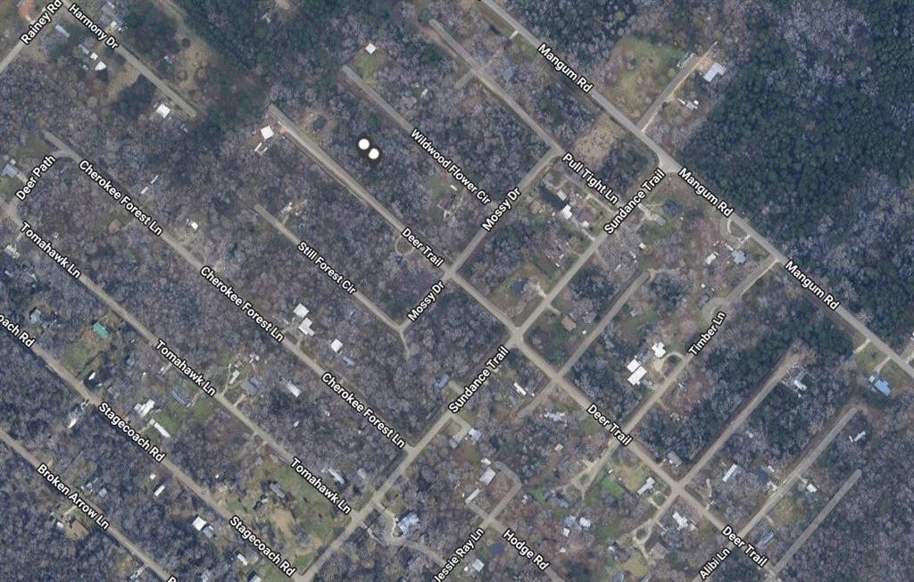 TBD Deer Trail, Livingston, Texas image 5