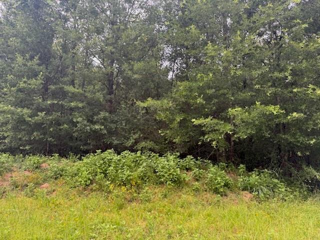 TBD Deer Trail, Livingston, Texas image 1