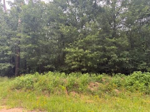 TBD Deer Trail, Livingston, Texas image 3
