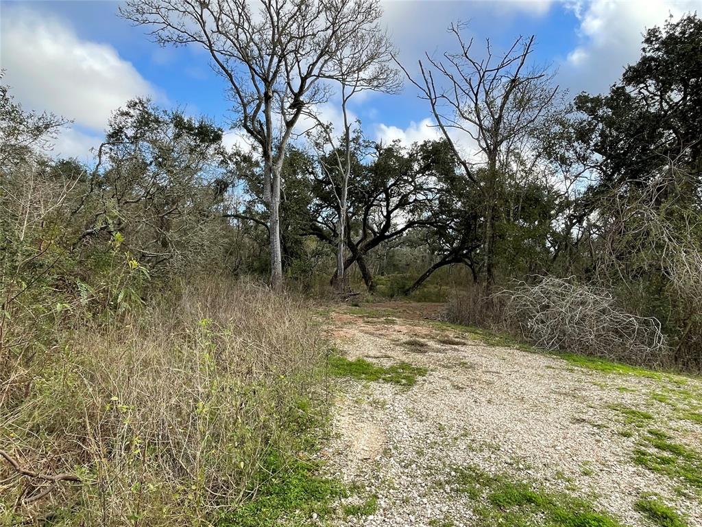 281 Tr 4 Ramblewood Road, Sargent, Texas image 4