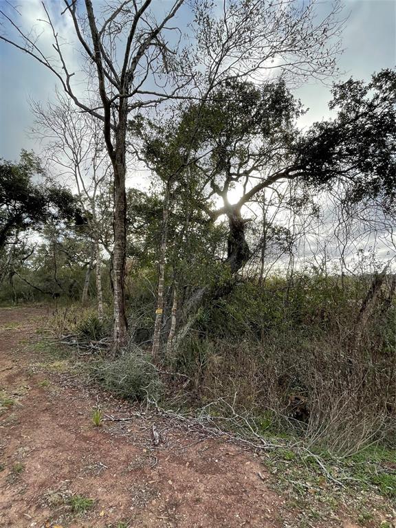 281 Tr 4 Ramblewood Road, Sargent, Texas image 7