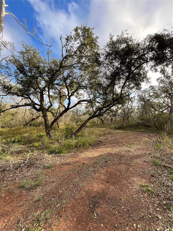 281 Tr 4 Ramblewood Road, Sargent, Texas image 9