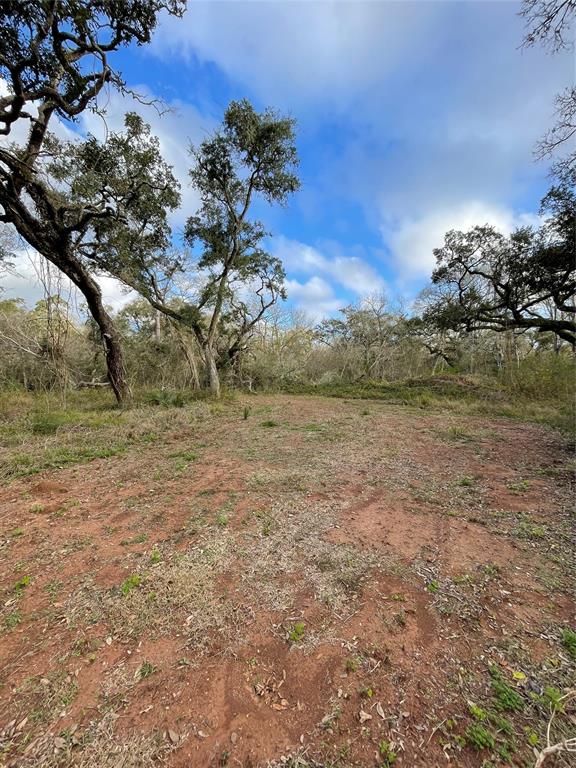 281 Tr 4 Ramblewood Road, Sargent, Texas image 22