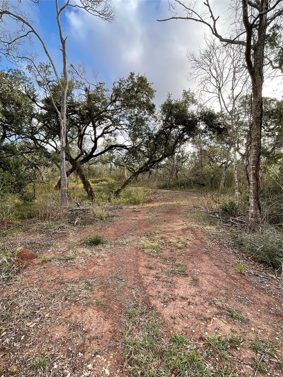 281 Tr 4 Ramblewood Road, Sargent, Texas image 5