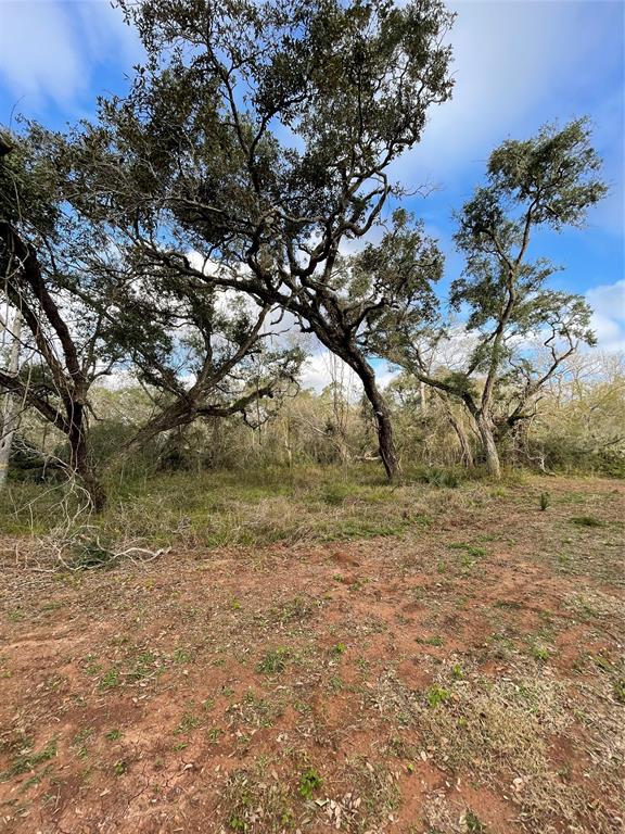 281 Tr 4 Ramblewood Road, Sargent, Texas image 14