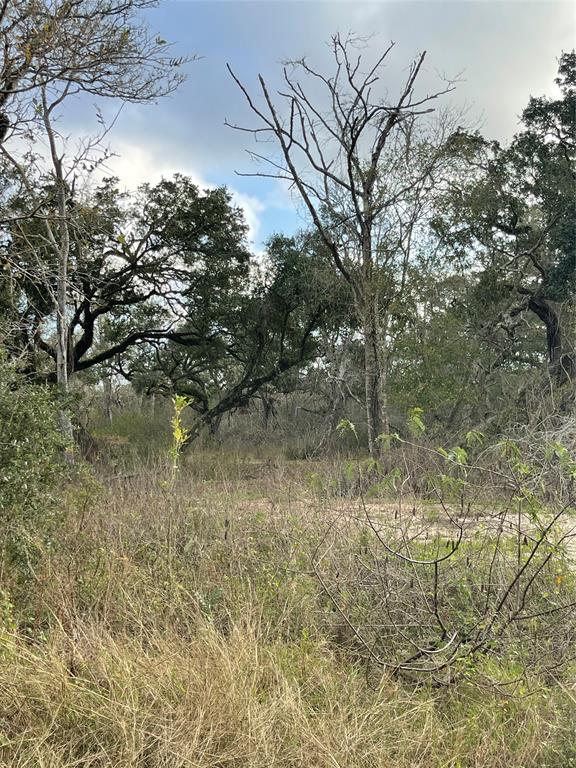 281 Tr 4 Ramblewood Road, Sargent, Texas image 3