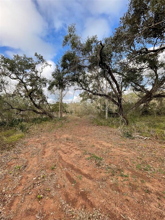 281 Tr 4 Ramblewood Road, Sargent, Texas image 6